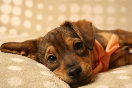 Rossi als Baby - Fotoshooting