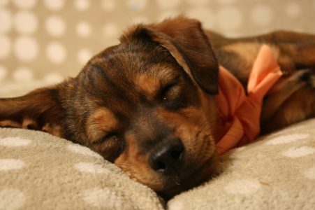 Rossi als Baby - Fotoshooting