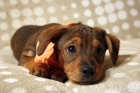 Rossi als Baby - Fotoshooting