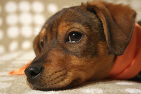 Rossi als Baby - Fotoshooting