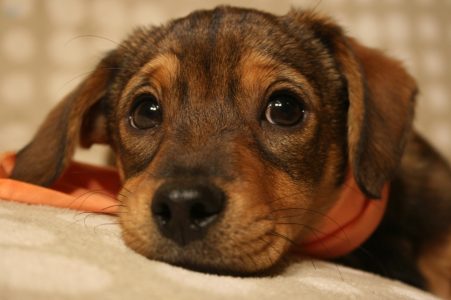 Rossi als Baby - Fotoshooting