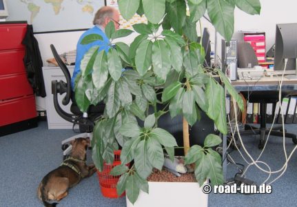 Rossi belagert Klaus