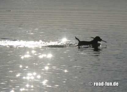 Rossi der Bademeister