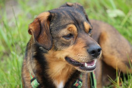 Rossi erholt sich nach dem Sport