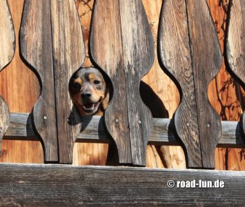 Rossi in der Nachbarschaft