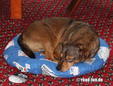 Rossi träumt von England