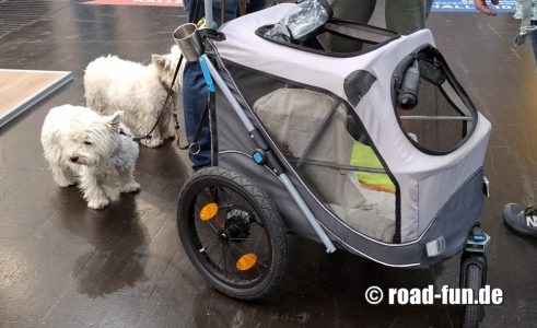 Auf der Caravan Salon mit Hunde-Womo