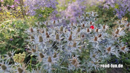 Vandalorum Aussenbereich 2025 