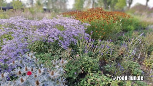 Vandalorum Aussenbereich 2025 