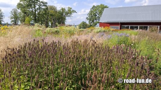 Vandalorum Aussenbereich 2025 