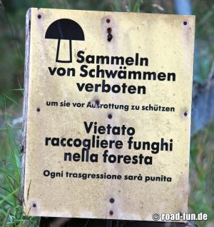Verbotsschild Österreich - Pilze sammeln