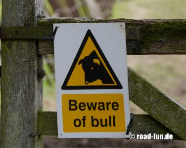 Warningsign Wales - Achtung Bulle